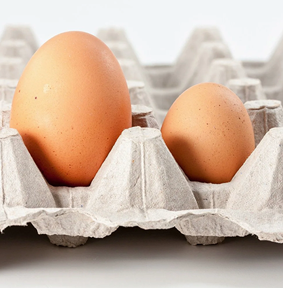 Why Size Matters: Understanding Egg Grades and Sizes